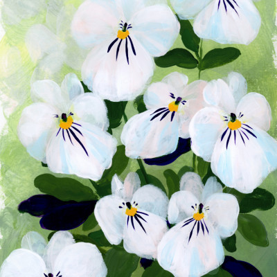 Delicate White Pansies