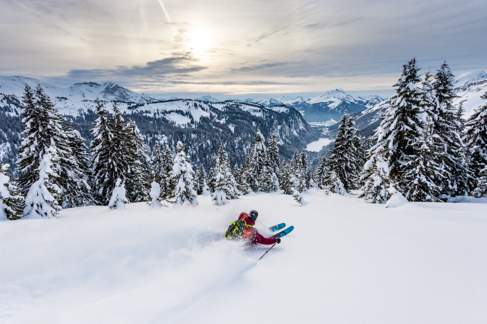 Deep Snow Mountain Skiing by Tristan Shu — canvas wall art