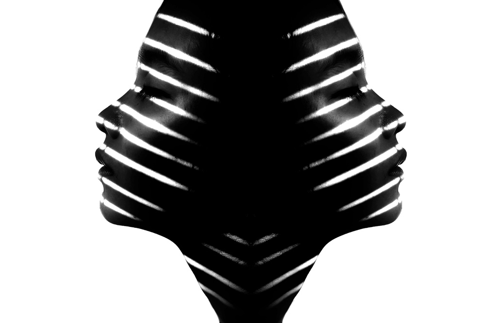 Shadow Stripes Profile by bonifasius wahyu adi f — canvas wall art