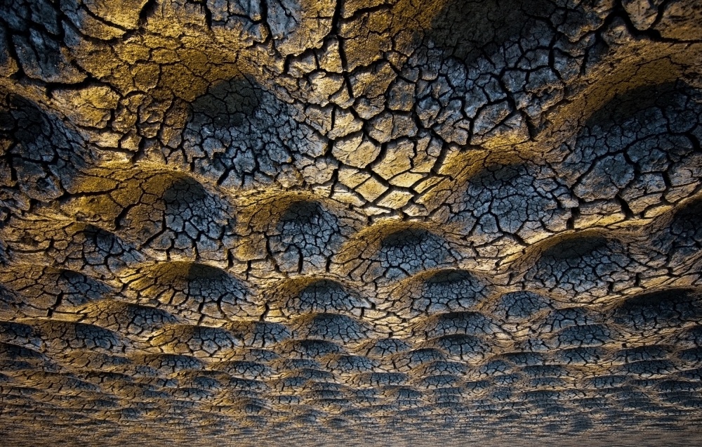 Golden Cracked Earth by Miki Meir Levi — canvas wall art