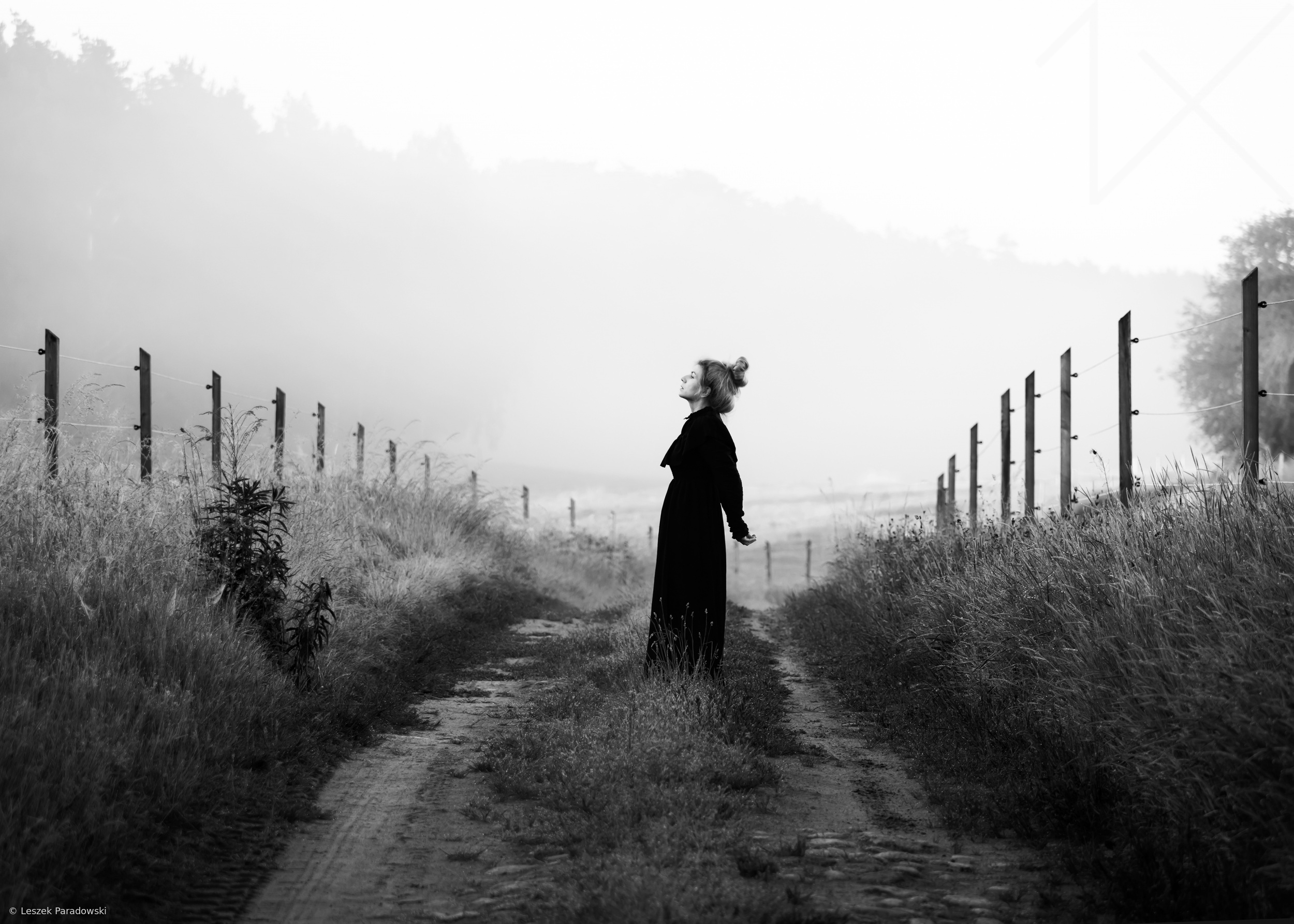 The Quiet Freedom