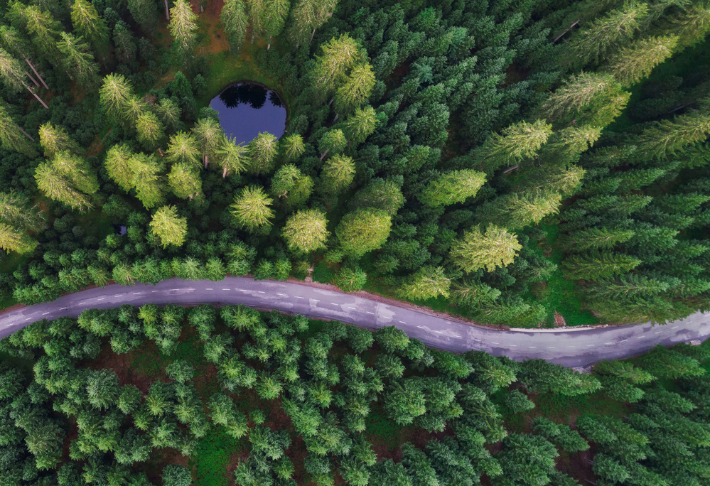 Aerial Forest Road Lake by Ales Krivec — canvas wall art