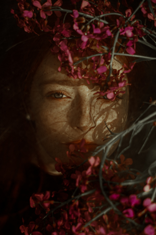 Mysterious Floral Gaze by Barbora Biňovcová — canvas wall art
