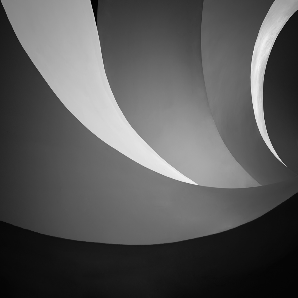 Abstract Gray Curves by Xiaopeng Guan — canvas wall art