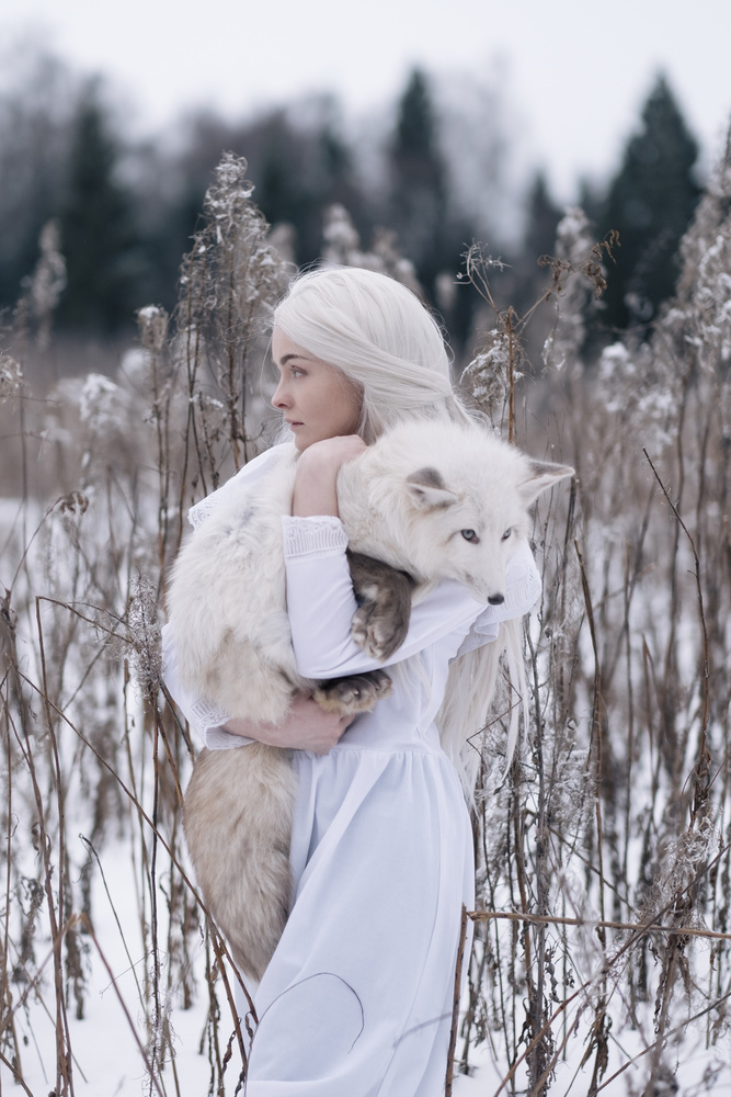 Woman With White Fox by Olga Barantseva — canvas wall art