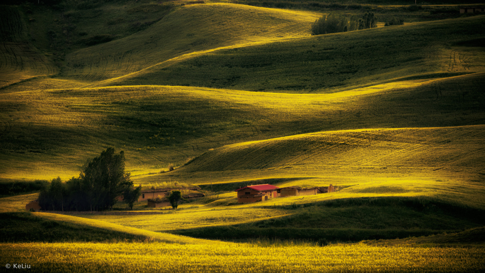 Golden Rolling Hills by Ke Liu — canvas wall art