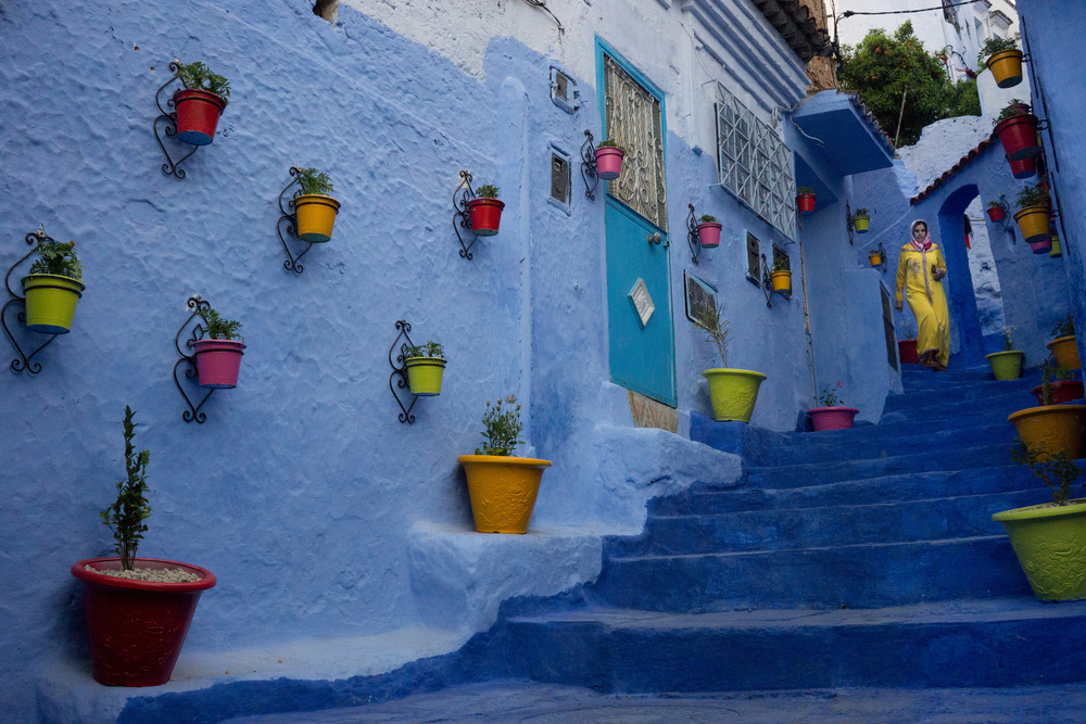 Moroccan Blue Steps by Andrei Nicolas - The Traveler — canvas wall art