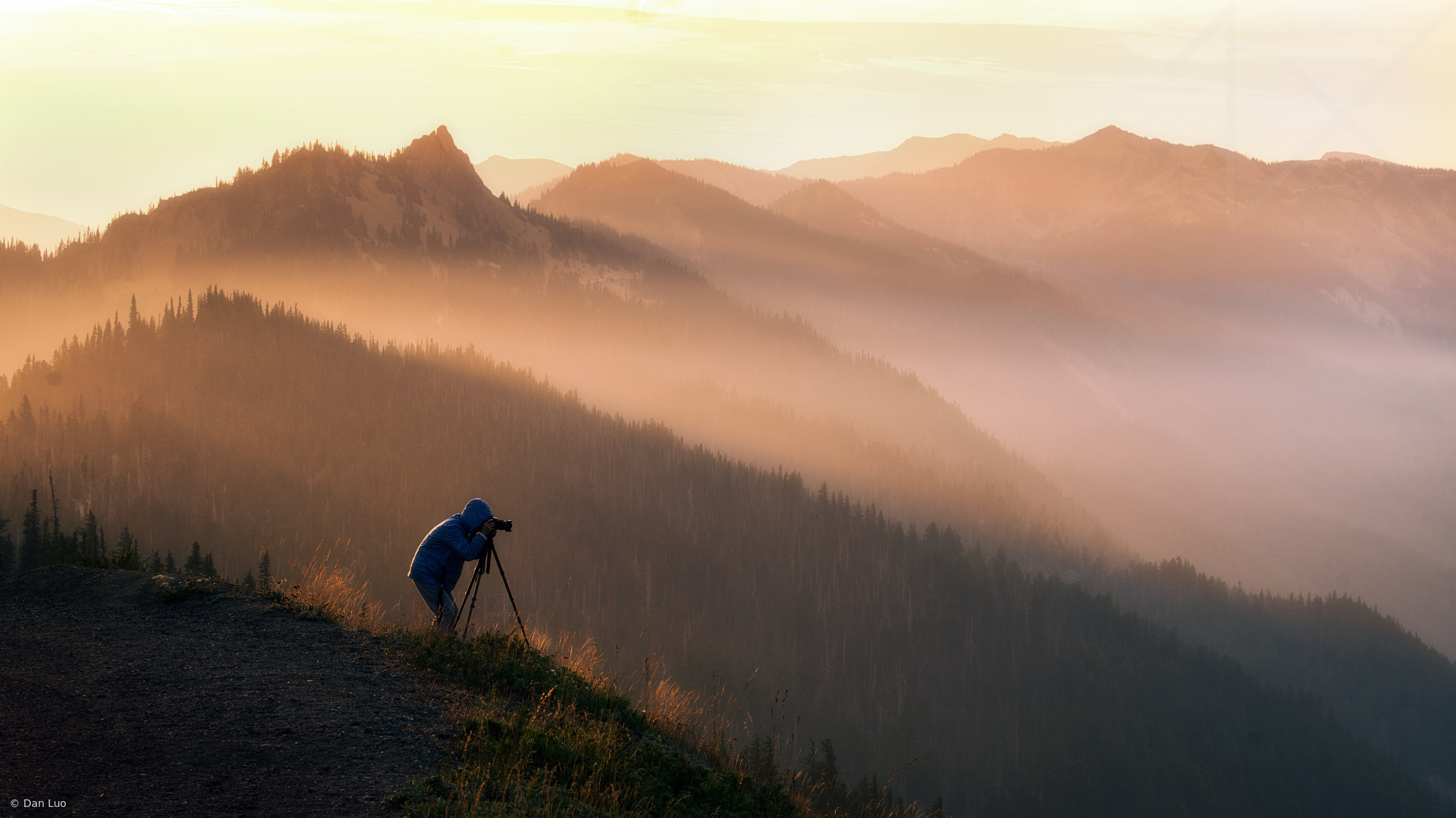 The First Light, Not the First Soul by Dan Luo