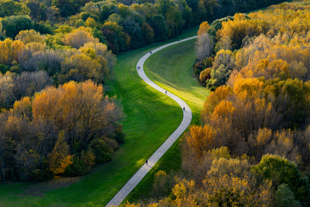 Winding Autumn Path by Michael Schnabl — canvas wall art