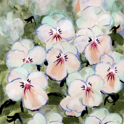 Delicate White Pansies