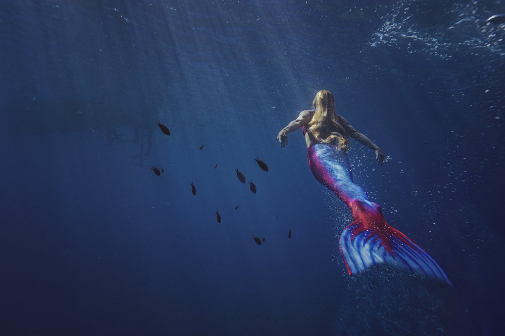 Mystical Mermaid Swim by Petr Kleiner — canvas wall art