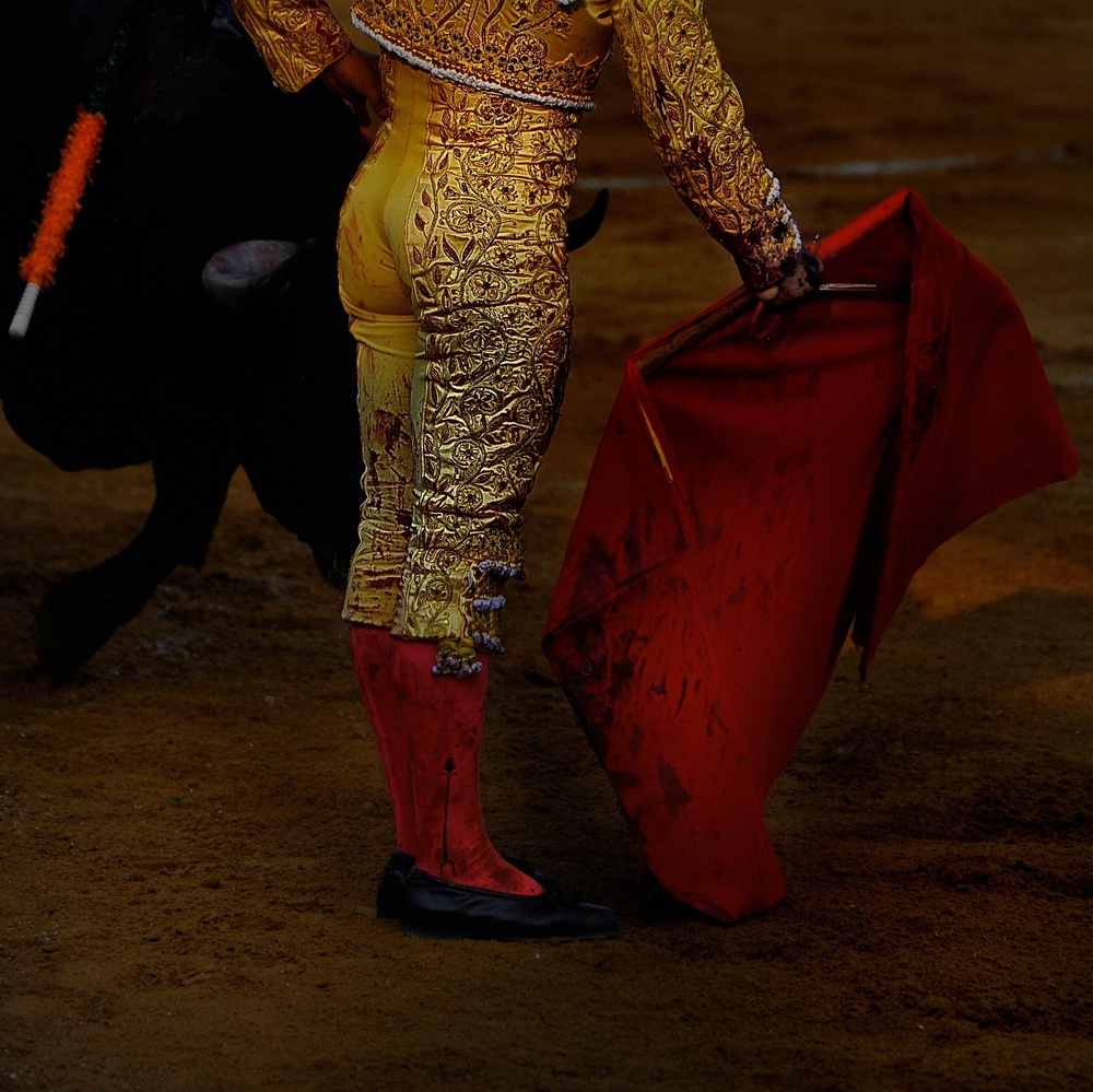 Golden Matador Red Cape by Didier Guibert — canvas wall art