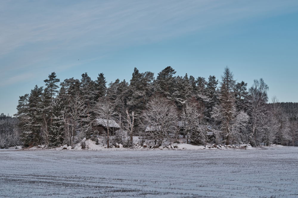 Snowy Forest Cabins by Geertjan Plooijer — canvas wall art