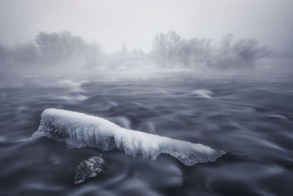 Misty Winter River by Tom Meier — canvas wall art