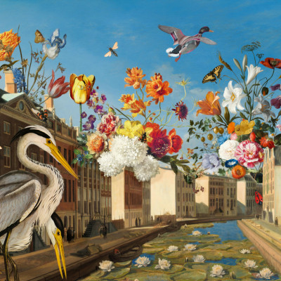 Heron's Floral City Dream