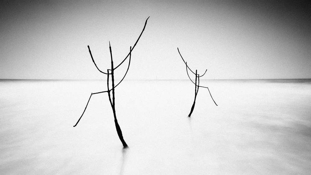 Silent Water Dancers by bonifasius wahyu adi f — canvas wall art