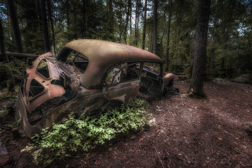 Forgotten Car in Woods by Benny Pettersson — canvas wall art