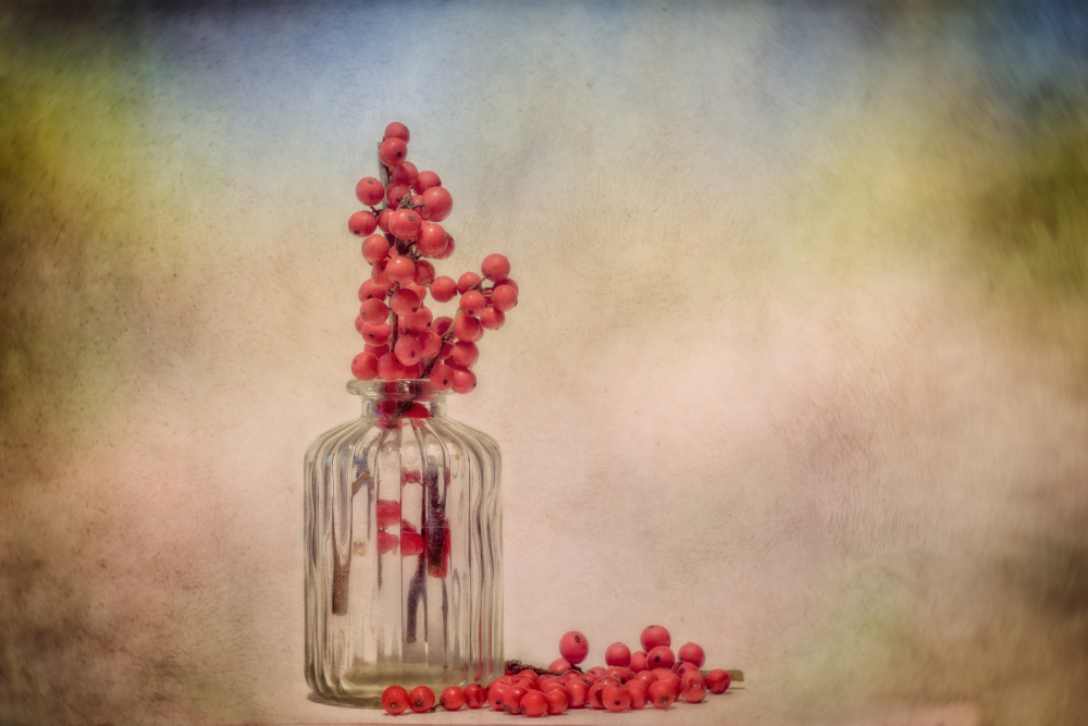 Rustic Berry Still Life by Marie-anne Stas — canvas wall art