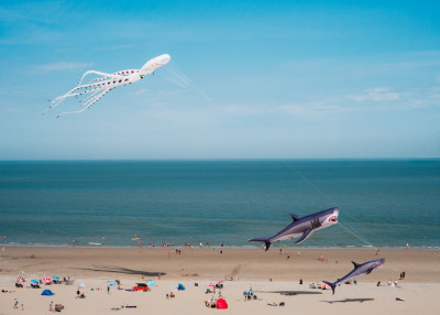 String Fish Real Life Sea Life on a String by Rudy Mareel