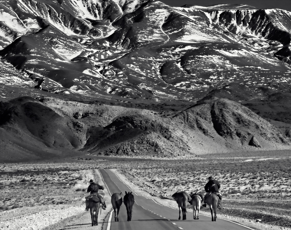 Western Mountain Riders by txules — canvas wall art