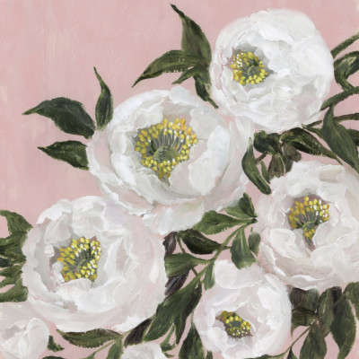 Evadne peonies in pink