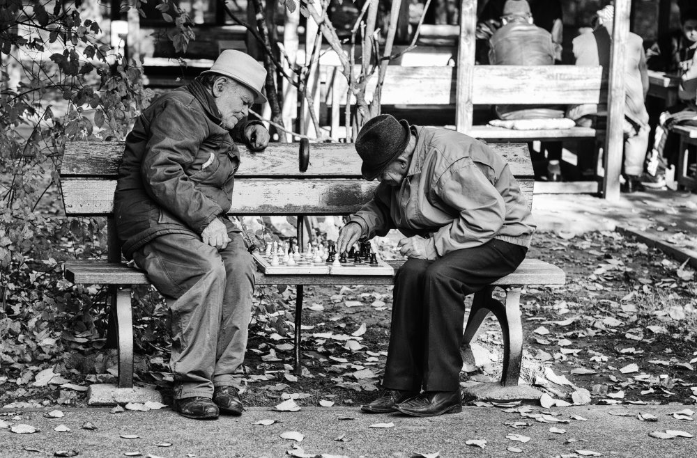 Autumn Chess Game by mihai ian nedelcu — canvas wall art