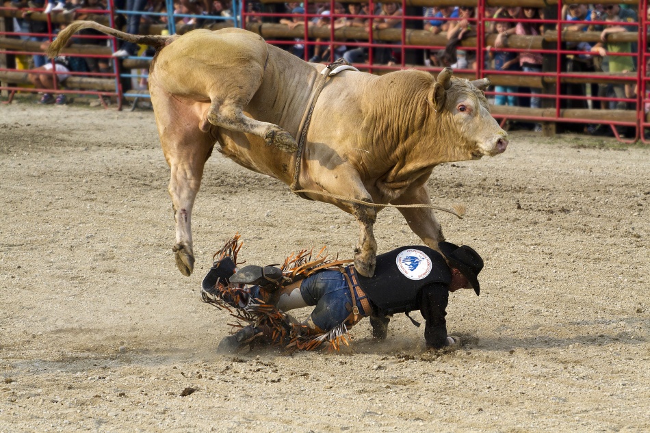 Bucking Bull Rider by Peter Majkut — canvas wall art