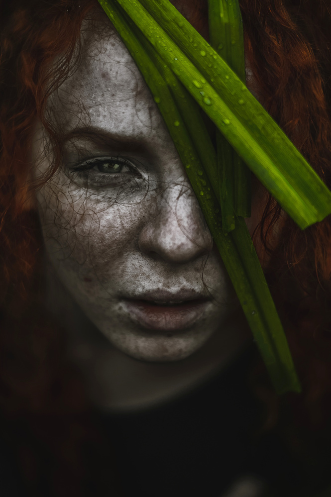 Intense Green Gaze by Barbora Biňovcová — canvas wall art