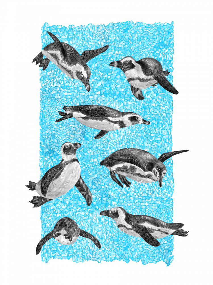Underwater Penguins by Martina Scott — canvas wall art