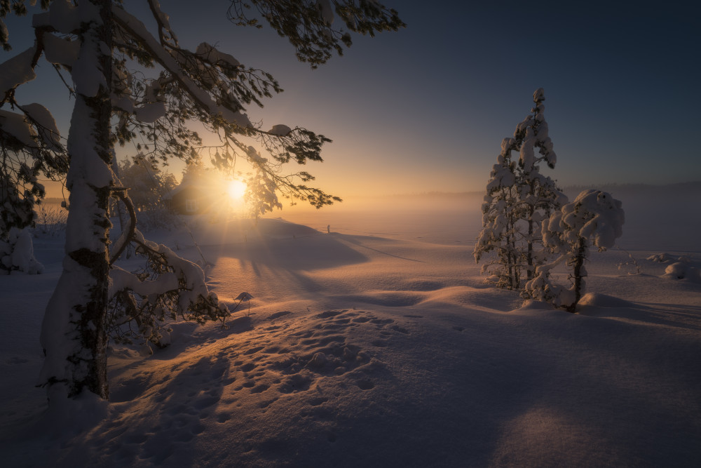 Golden Winter Morning Mist by Ole Henrik Skjelstad — canvas wall art