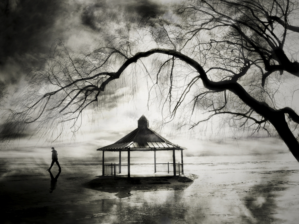 Misty Lake Solitude by David Senechal Photographie (polydactyle) — canvas wall art