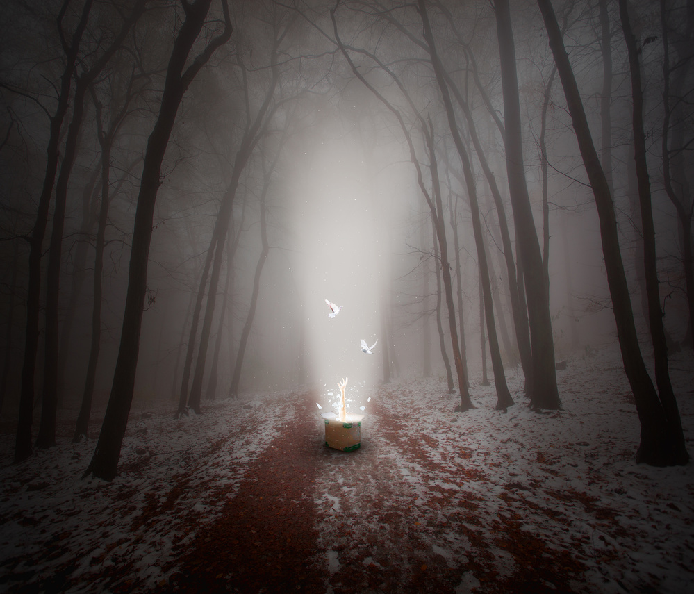 Misty Forest Magic by Martin Marcisovsky — canvas wall art