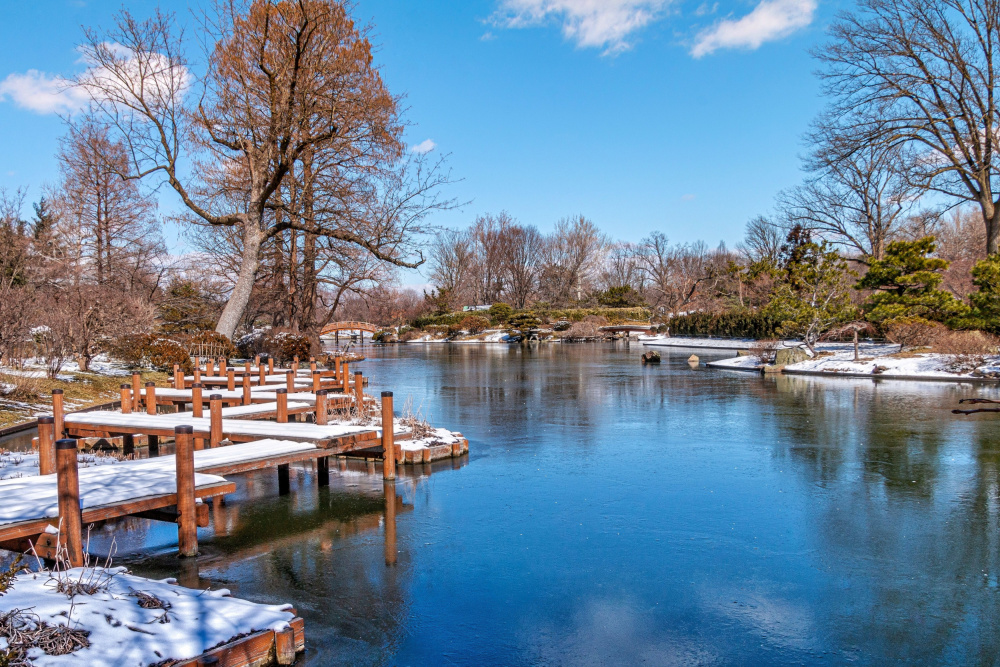 Winter Garden Pond by GuruShots — canvas wall art