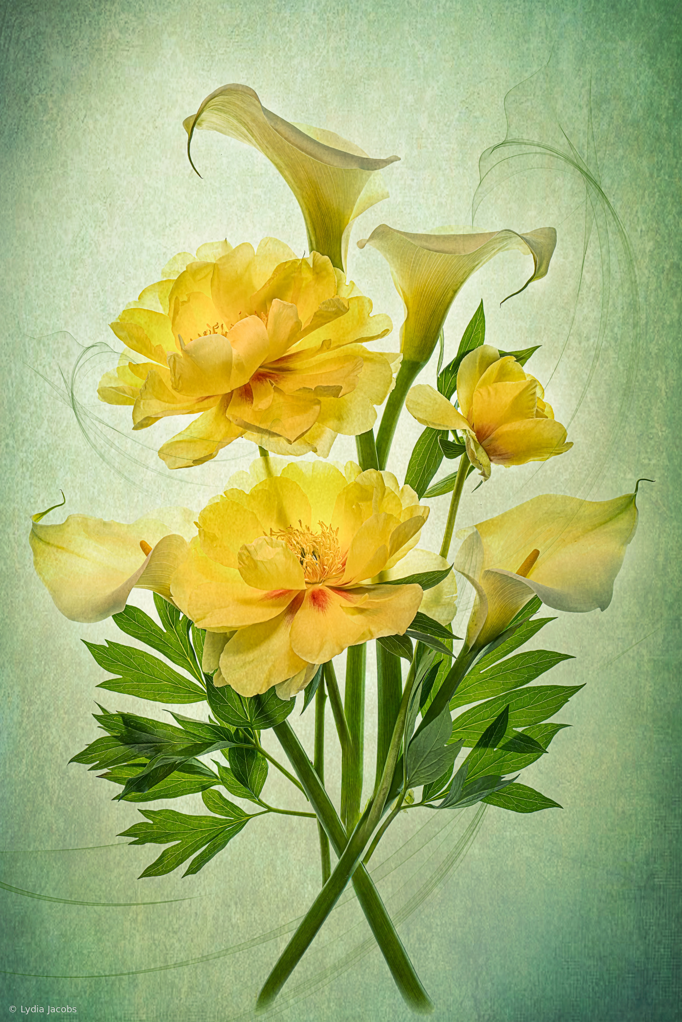 Elegy of Spring