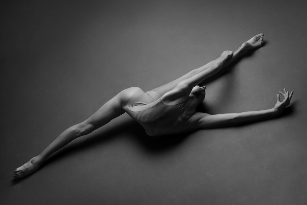 Dynamic Ballet Pose by Natalya Sleta — canvas wall art