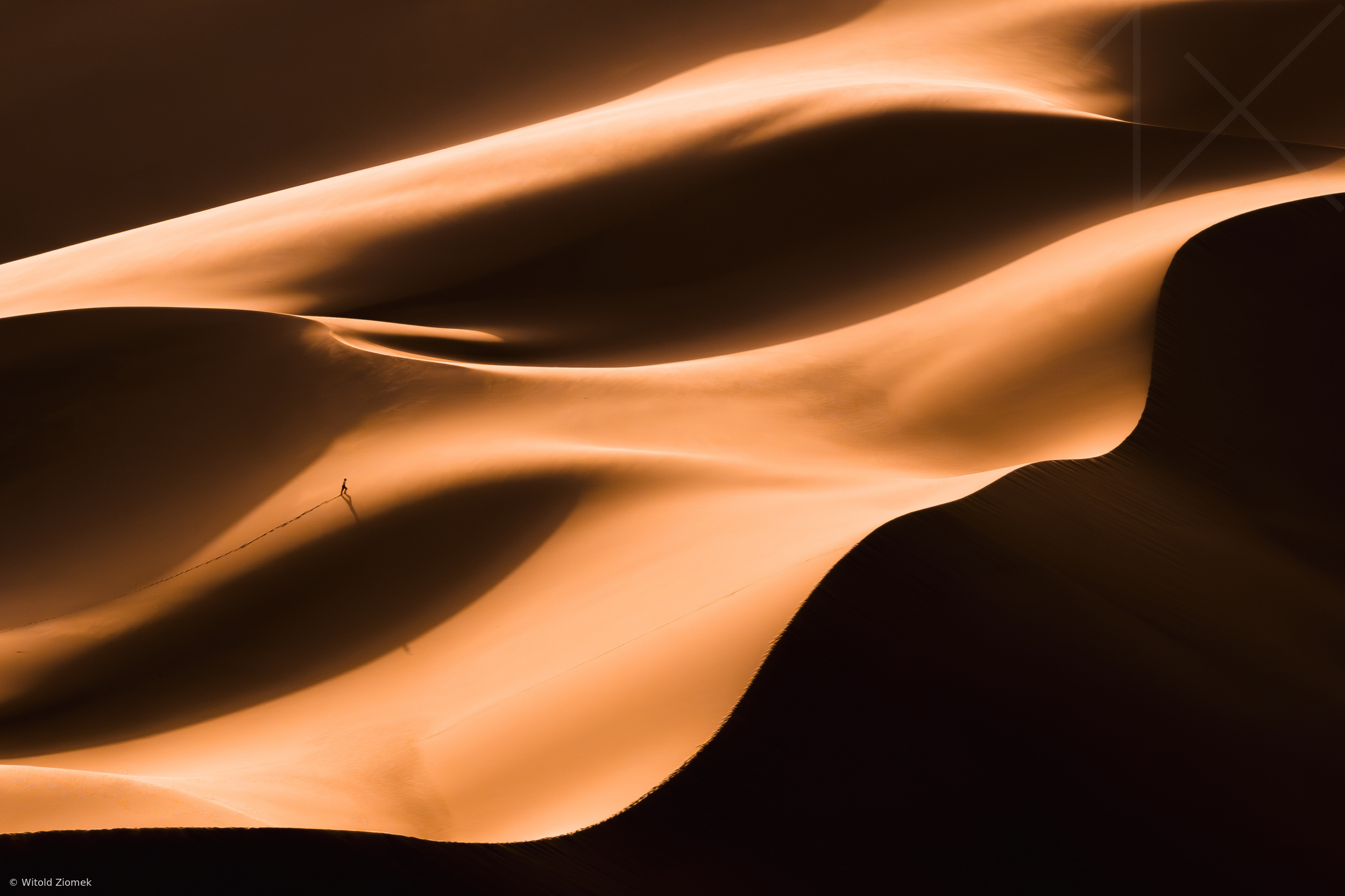 Gobi