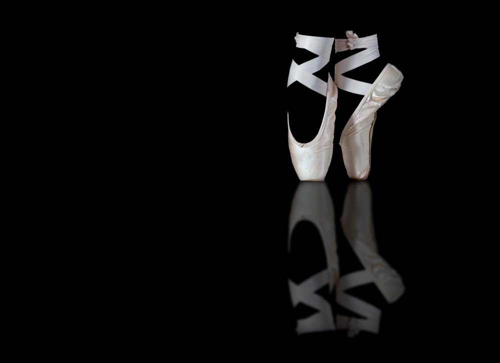 Elegant Pointe Shoes by Pauline Pentony MA ARPS DPAGB — canvas wall art