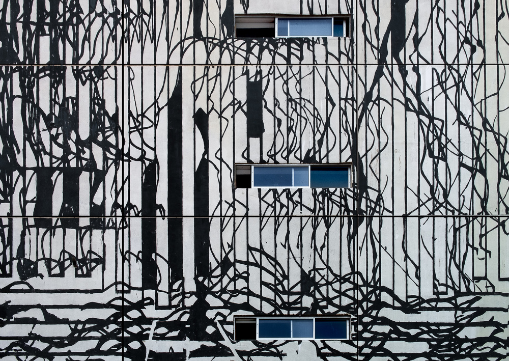 Modern Abstract Branches by Harry Verschelden — canvas wall art
