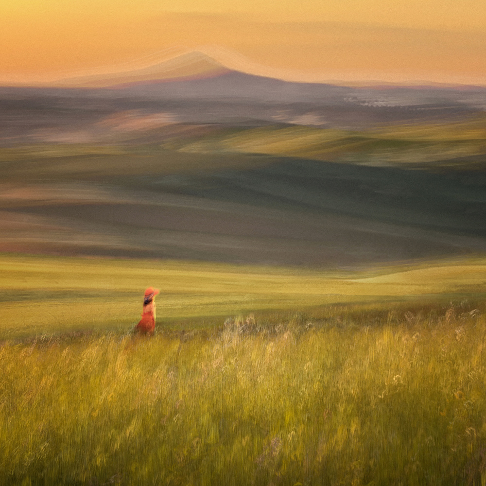 Golden Hour Fox by Mia Meng — canvas wall art