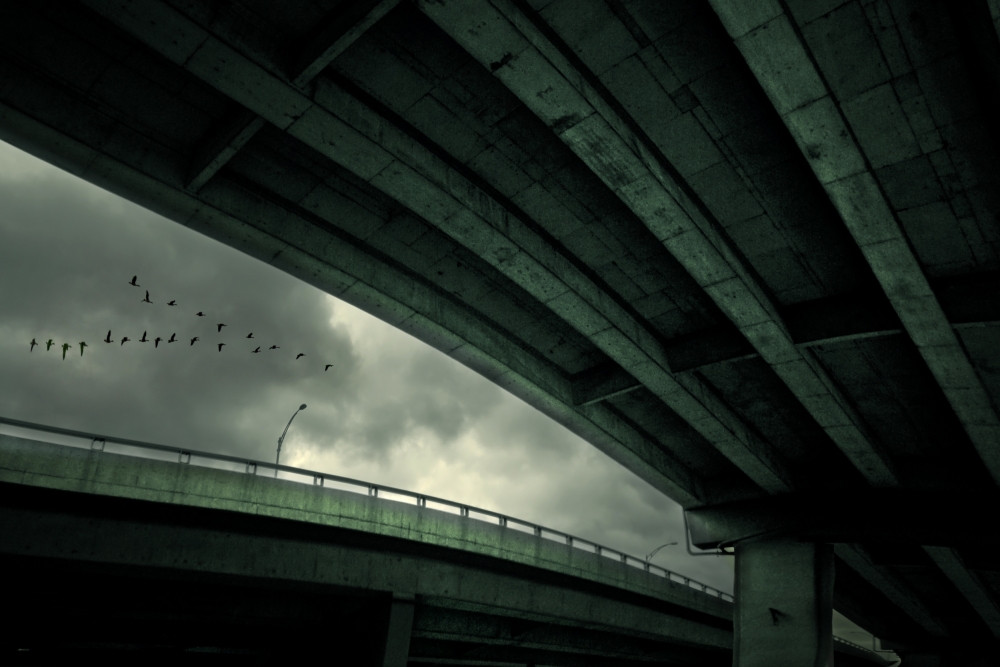 Birds Over Dark Highway by David Senechal Photographie (polydactyle) — canvas wall art