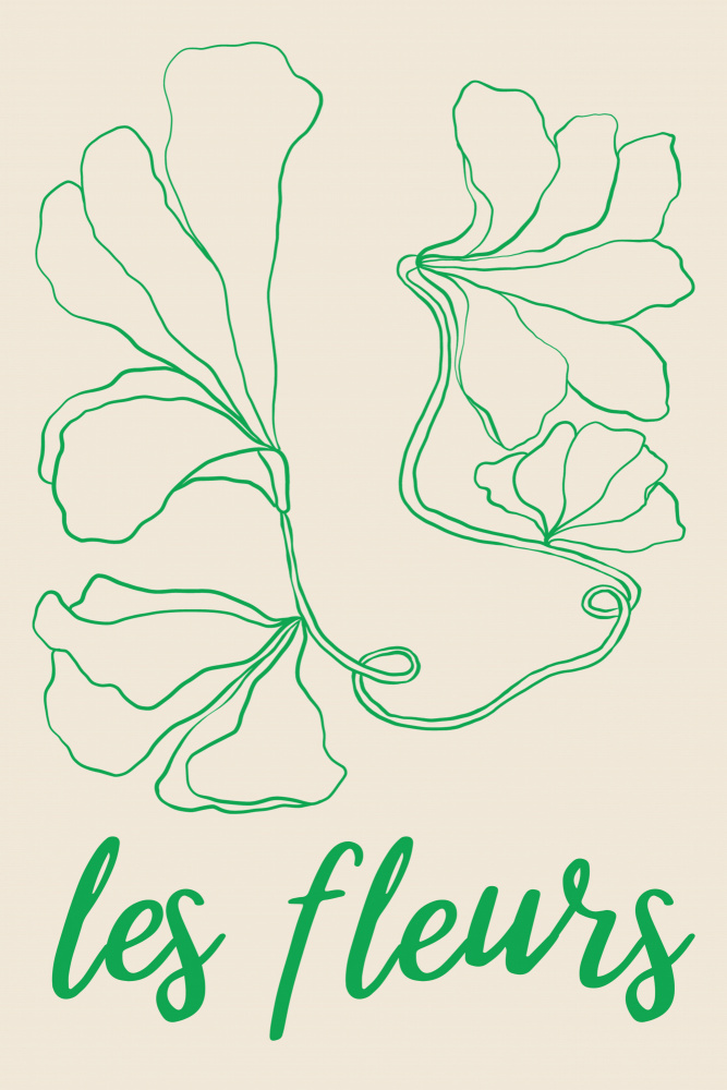 Les Fleurs Botanical Drawing by Talitha McQueen — canvas wall art