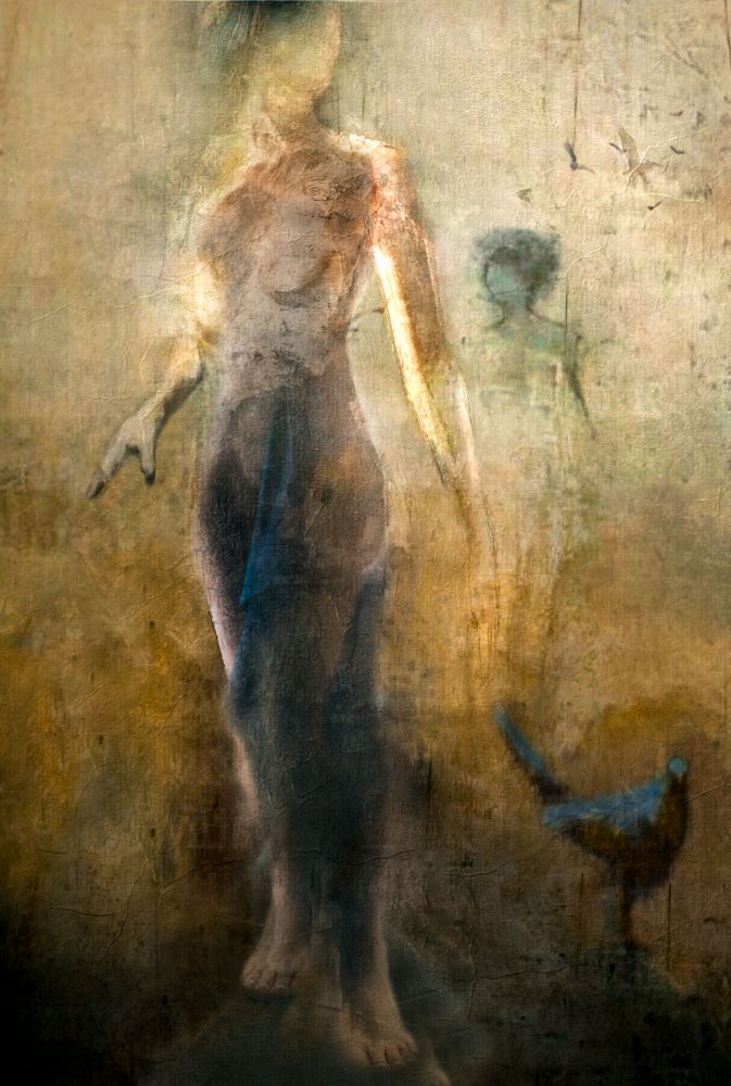 Ethereal Woman and Bird by Charlaine Gerber — canvas wall art