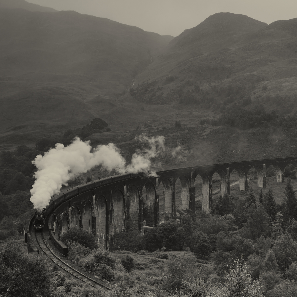 Steam Train Viaduct by Pawel Majewski — canvas wall art