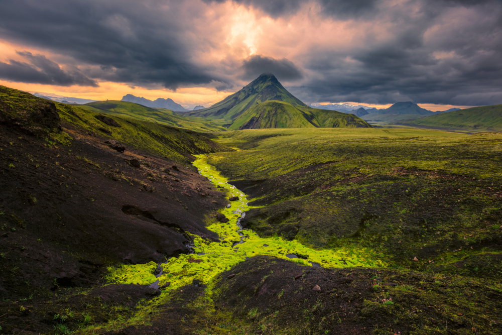 Vibrant Mossy Volcanic Valley by James Bian — canvas wall art