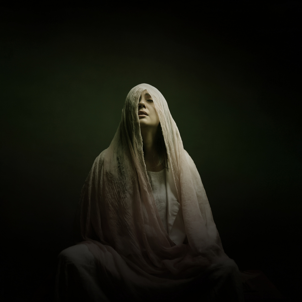 Veiled Woman's Gaze by Moein Hasheminasab — canvas wall art