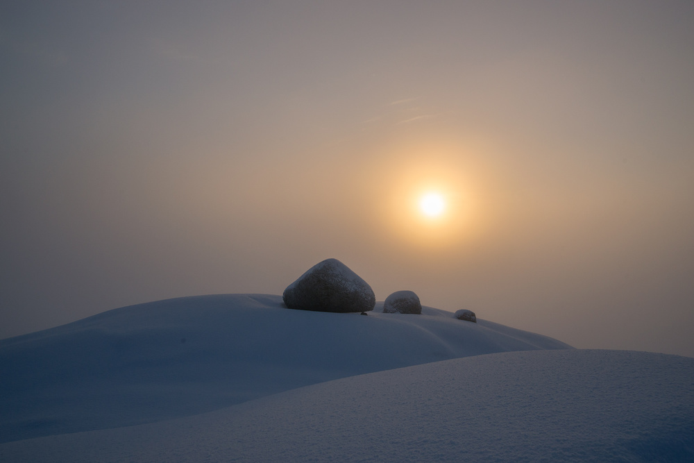 Misty Winter Sun by Alexey Kharitonov — canvas wall art