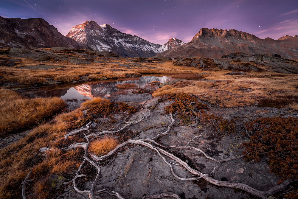 Purple Mountain Twilight by Álvaro Pérez &amp Jose M. Pérez. Brothers — canvas wall art