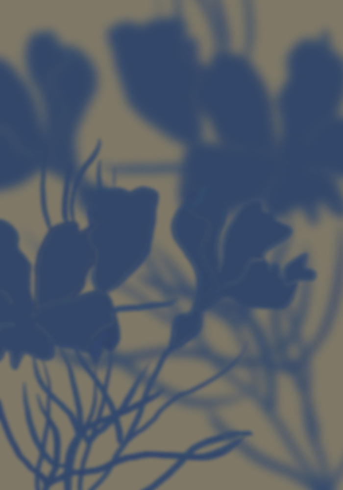 Soft Floral Silhouettes by THE MIUUS STUDIO — canvas wall art