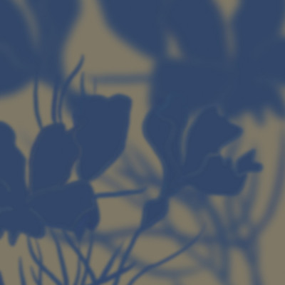 Soft Floral Silhouettes