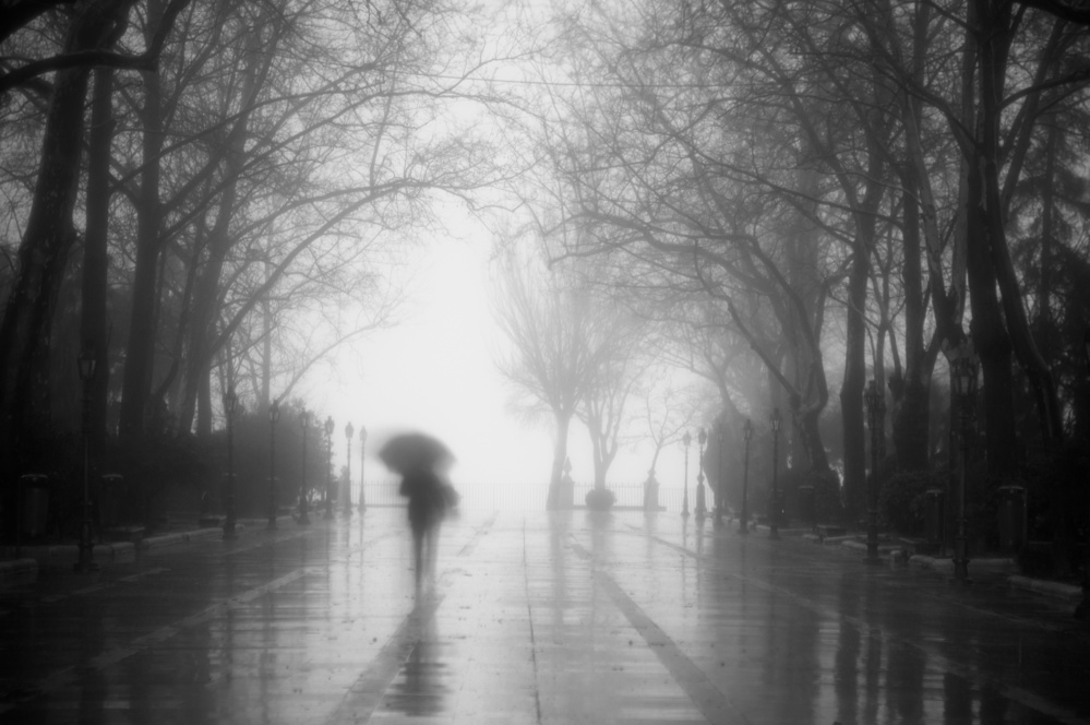 Rainy Path Silhouette by E. de Juan — canvas wall art